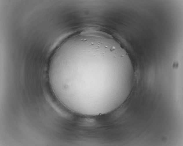 X0000113090159200909182123