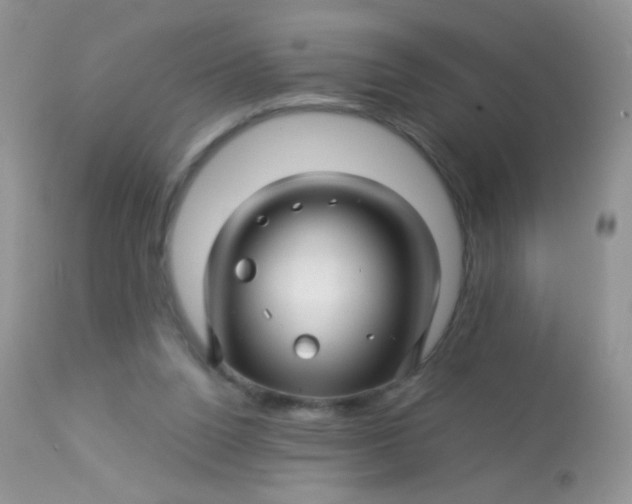 X0000113090160200909182123