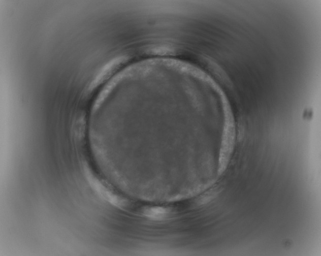 X0000113090163200909182123