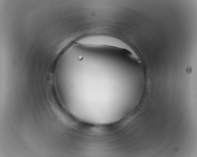 X0000113090164200909182123