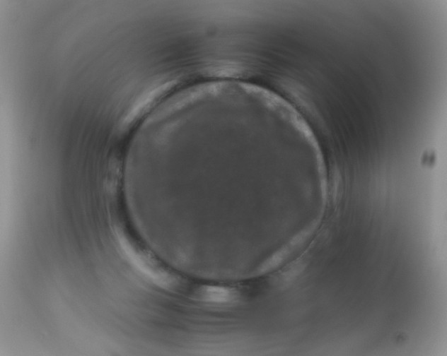 X0000113090167200909182123