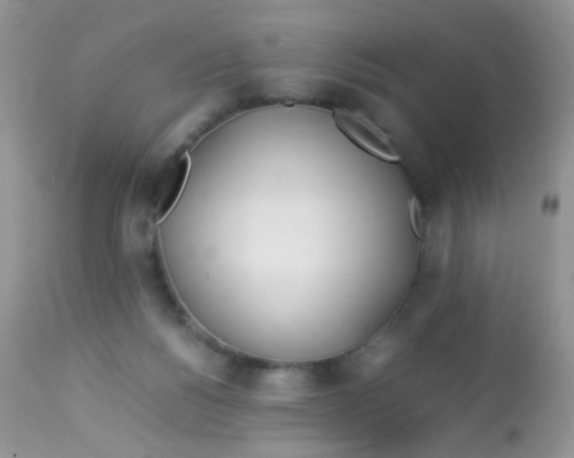 X0000113090168200909182123