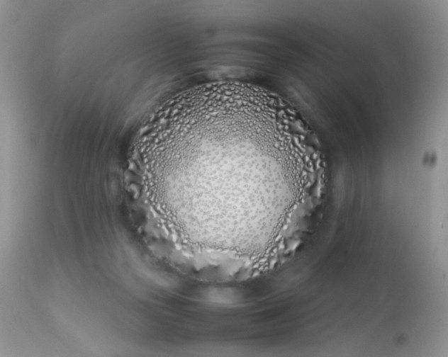 X0000113090169200909182123