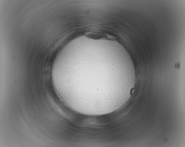 X0000113090171200909182123