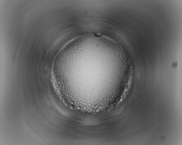 X0000113090173200909182123