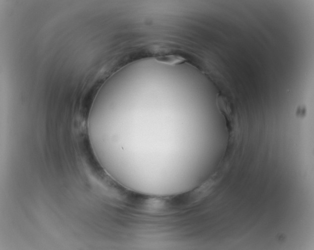 X0000113090176200909182123