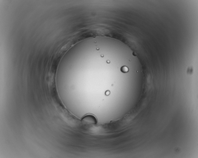 X0000113090177200909182123