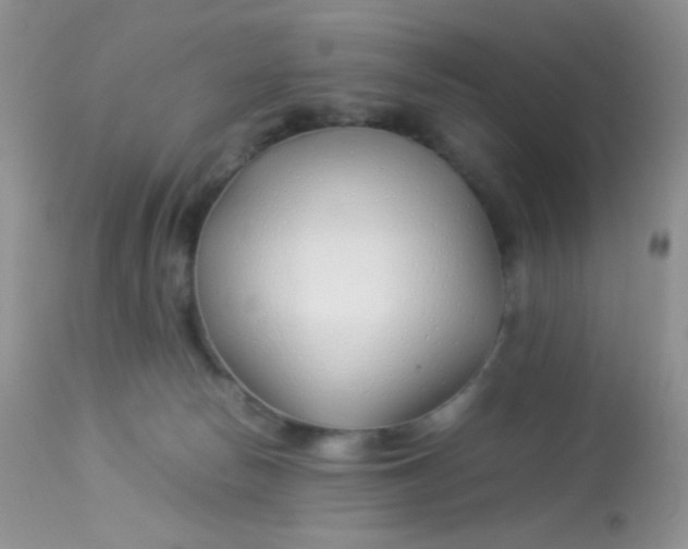 X0000113090178200909182123