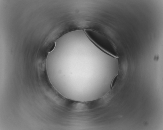 X0000113090180200909182123