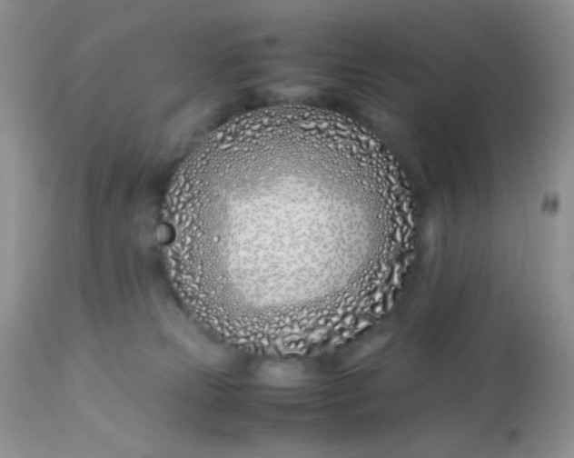 X0000113090181200909182123