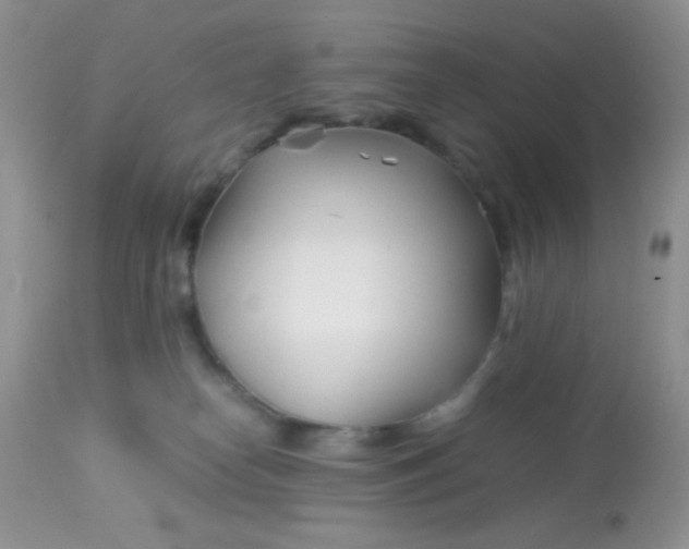 X0000113090182200909182123