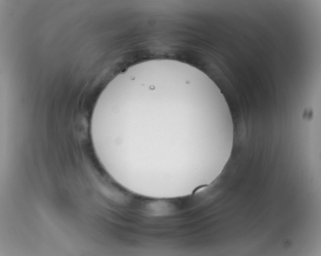 X0000113090183200909182123