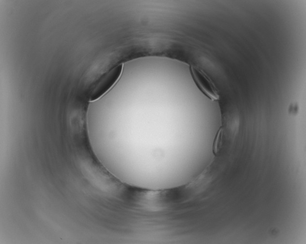 X0000113090184200909182123