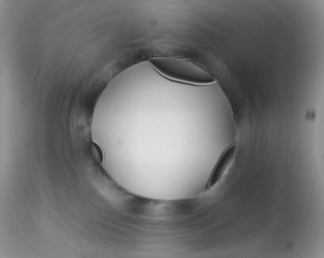 X0000113090186200909182123