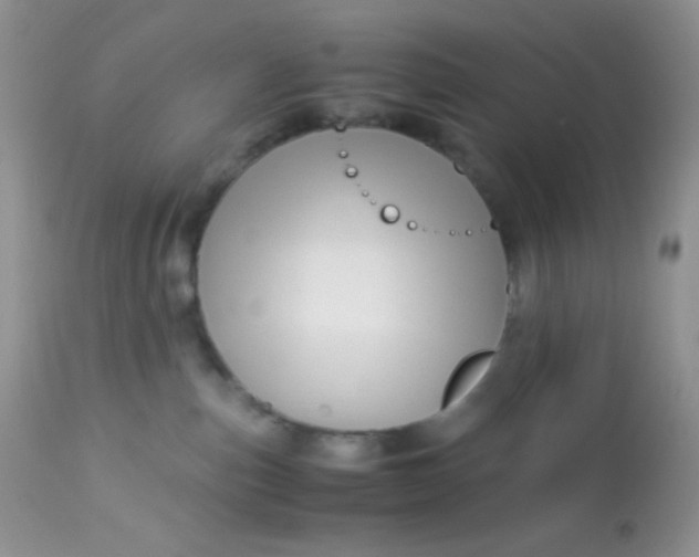 X0000113090187200909182123