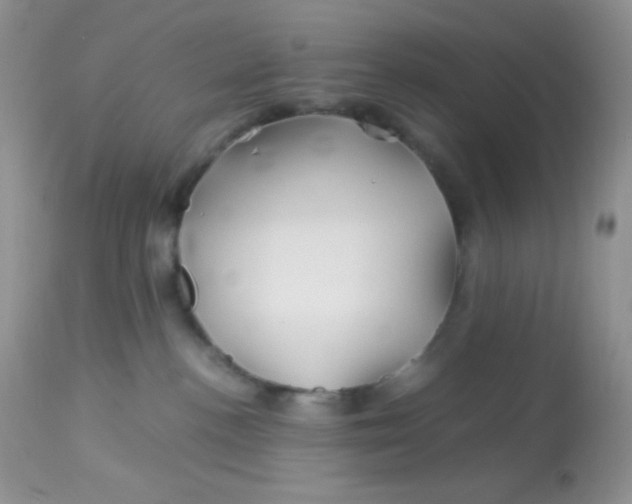 X0000113090188200909182123