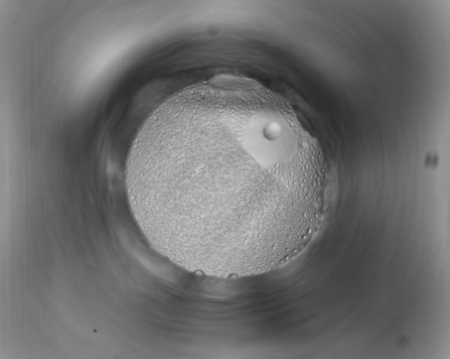 X0000113090191200909182123