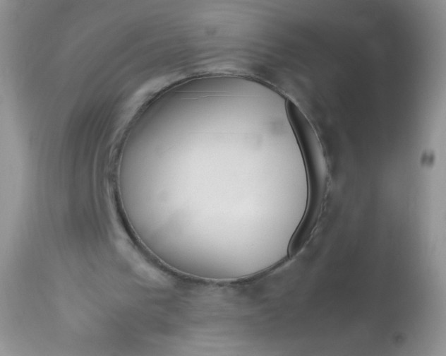 X0000113090193200909182122