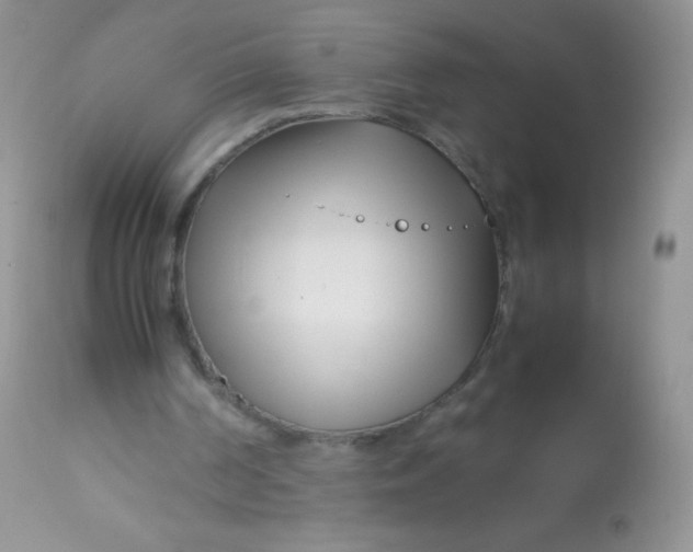 X0000113090194200909182122