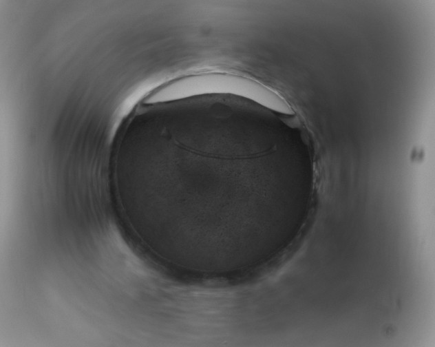 X0000113090196200909182122