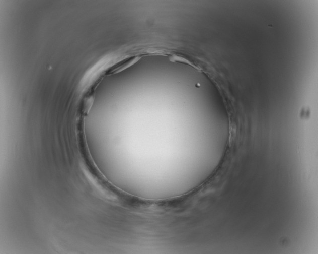 X0000113090197200909182122