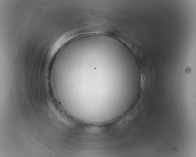 X0000113090198200909182122