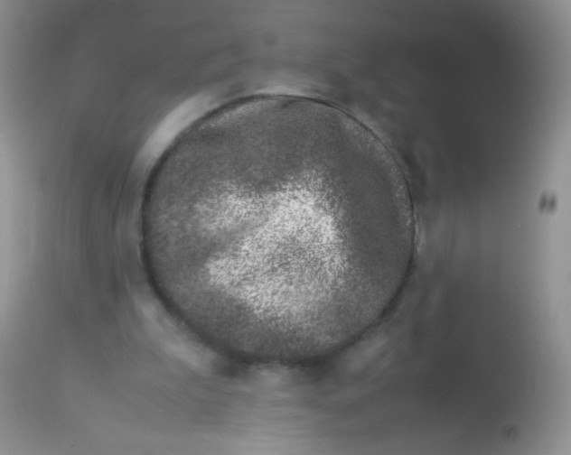 X0000113090199200909182122