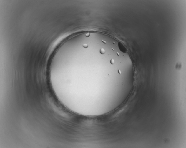 X0000113090200200909182122