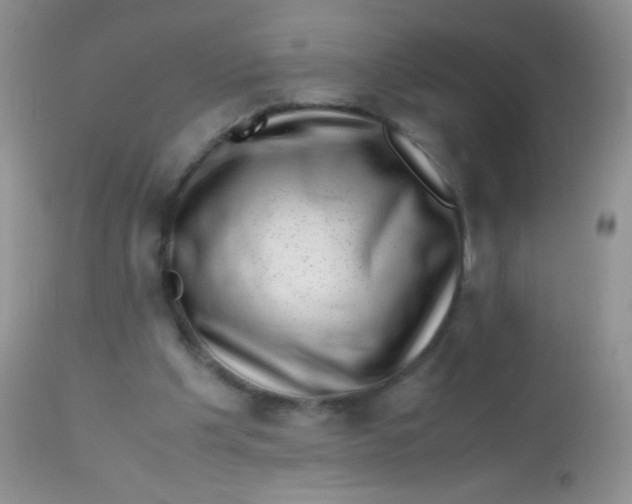 X0000113090201200909182122