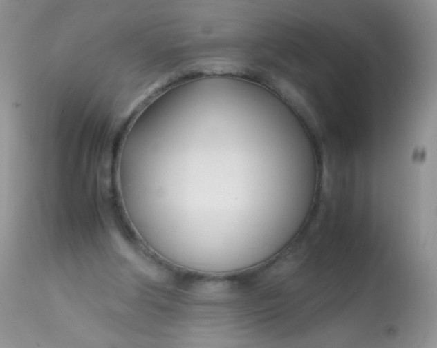 X0000113090202200909182122