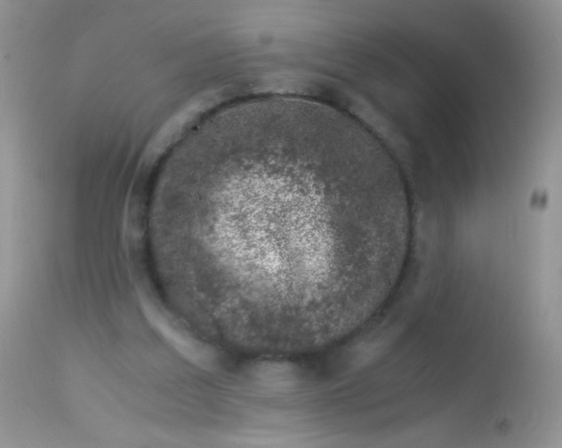 X0000113090203200909182122