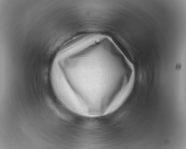 X0000113090206200909182122