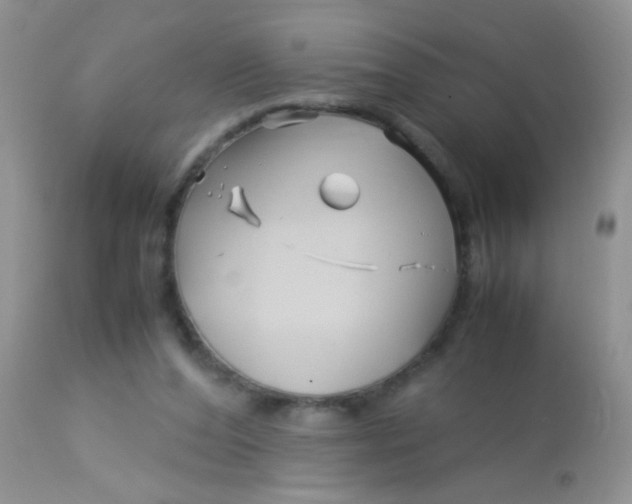 X0000113090208200909182122