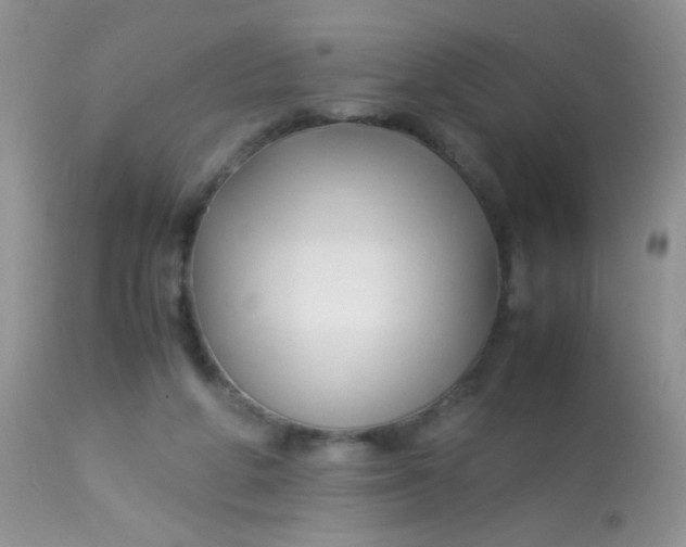 X0000113090210200909182122