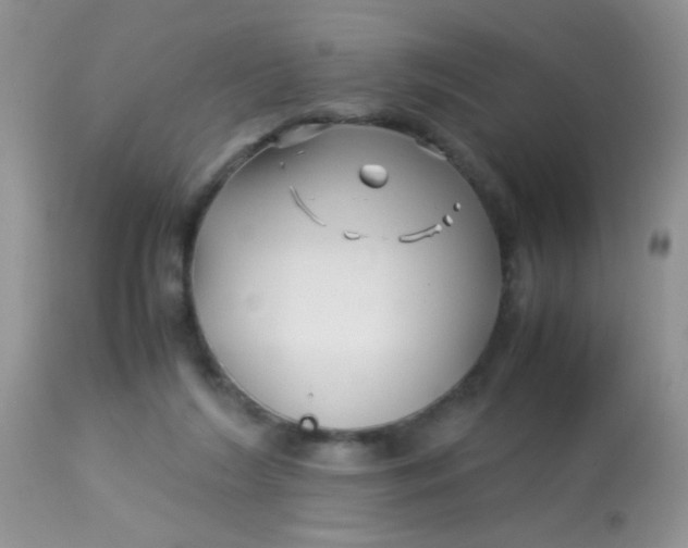 X0000113090212200909182122