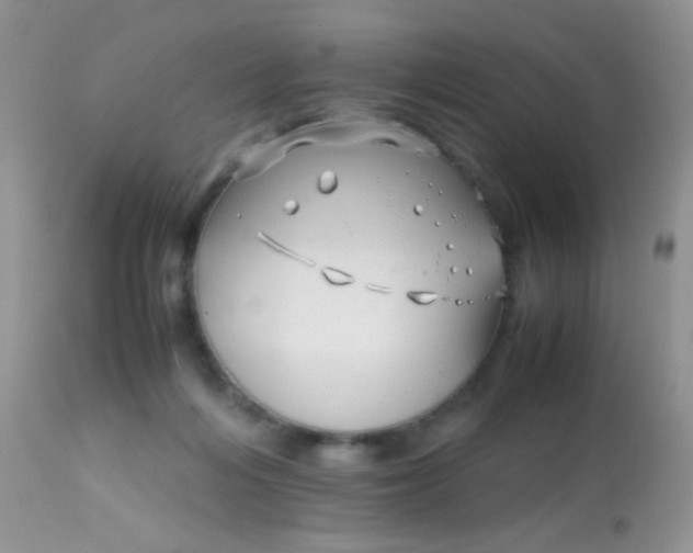 X0000113090216200909182122