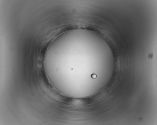 X0000113090218200909182122