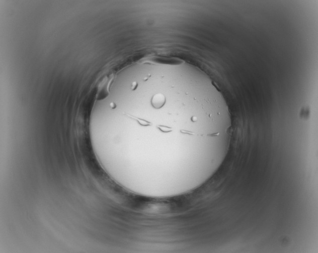 X0000113090220200909182122