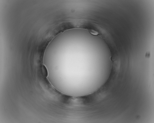 X0000113090221200909182122