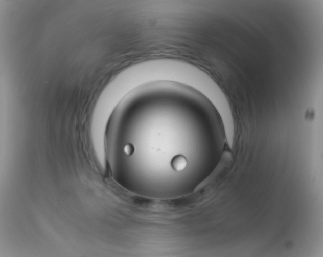 X0000113090223200909182122