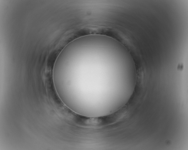 X0000113090225200909182122