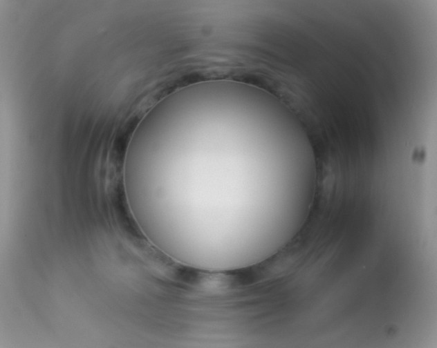 X0000113090226200909182122