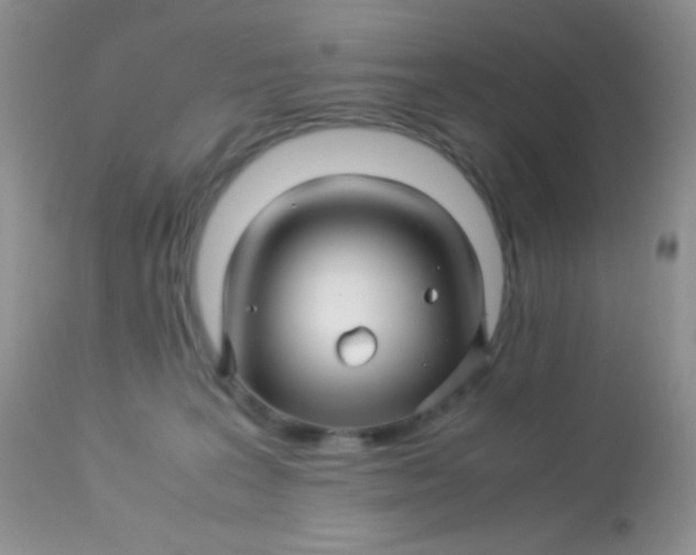 X0000113090227200909182122