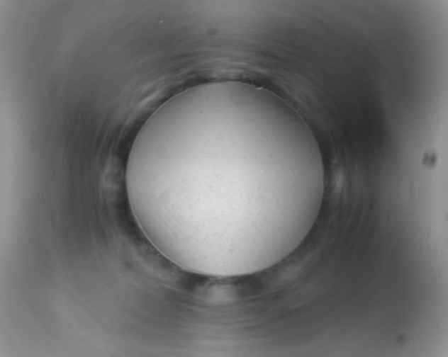 X0000113090228200909182122