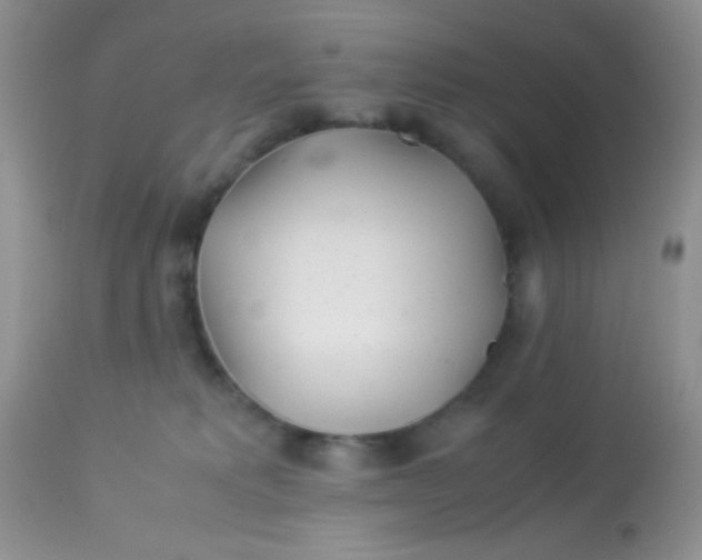 X0000113090229200909182122