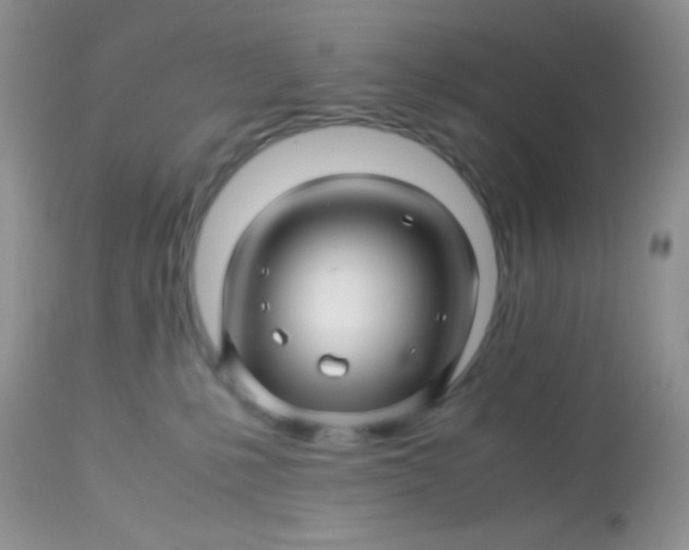 X0000113090231200909182122