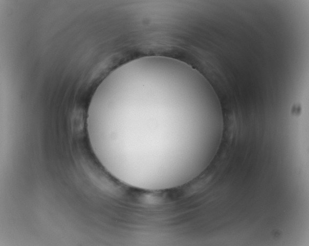 X0000113090232200909182122