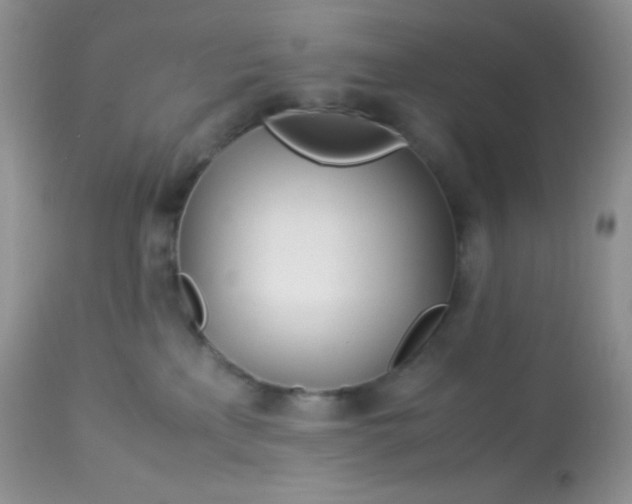 X0000113090233200909182122