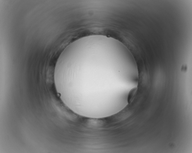 X0000113090234200909182122