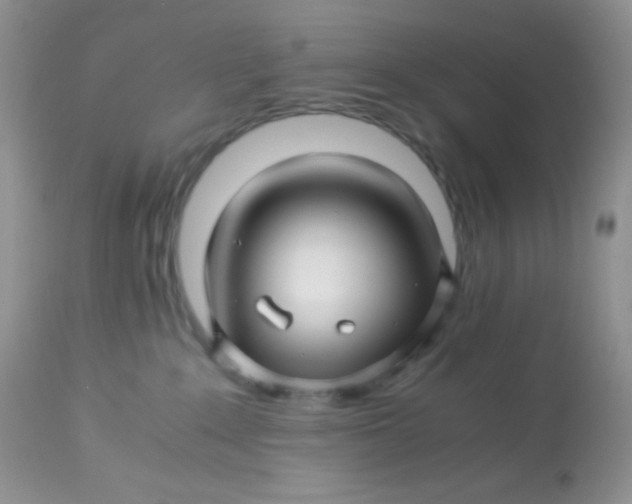 X0000113090235200909182122